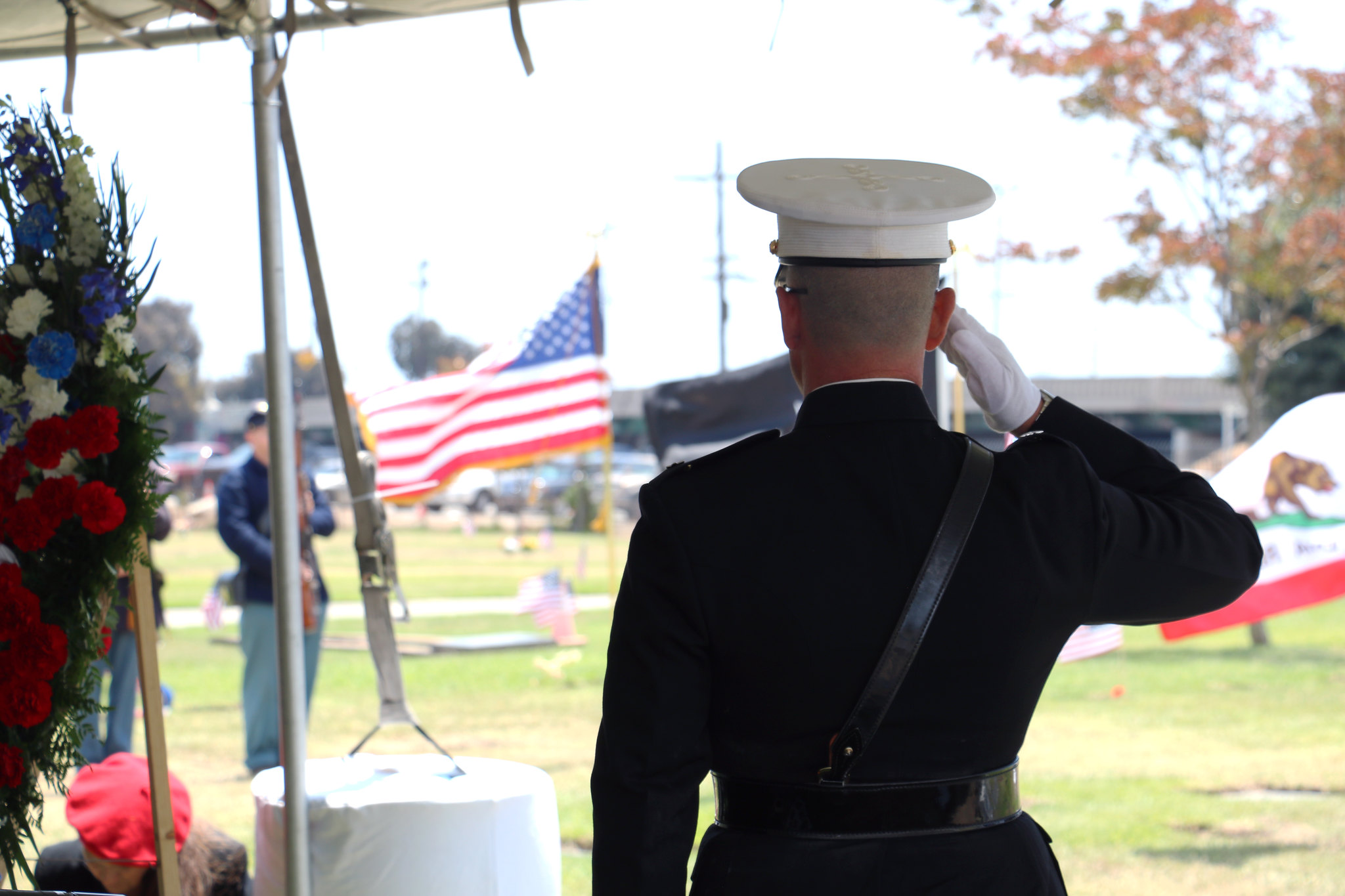 Uniformed service member saluting the U.S. flag