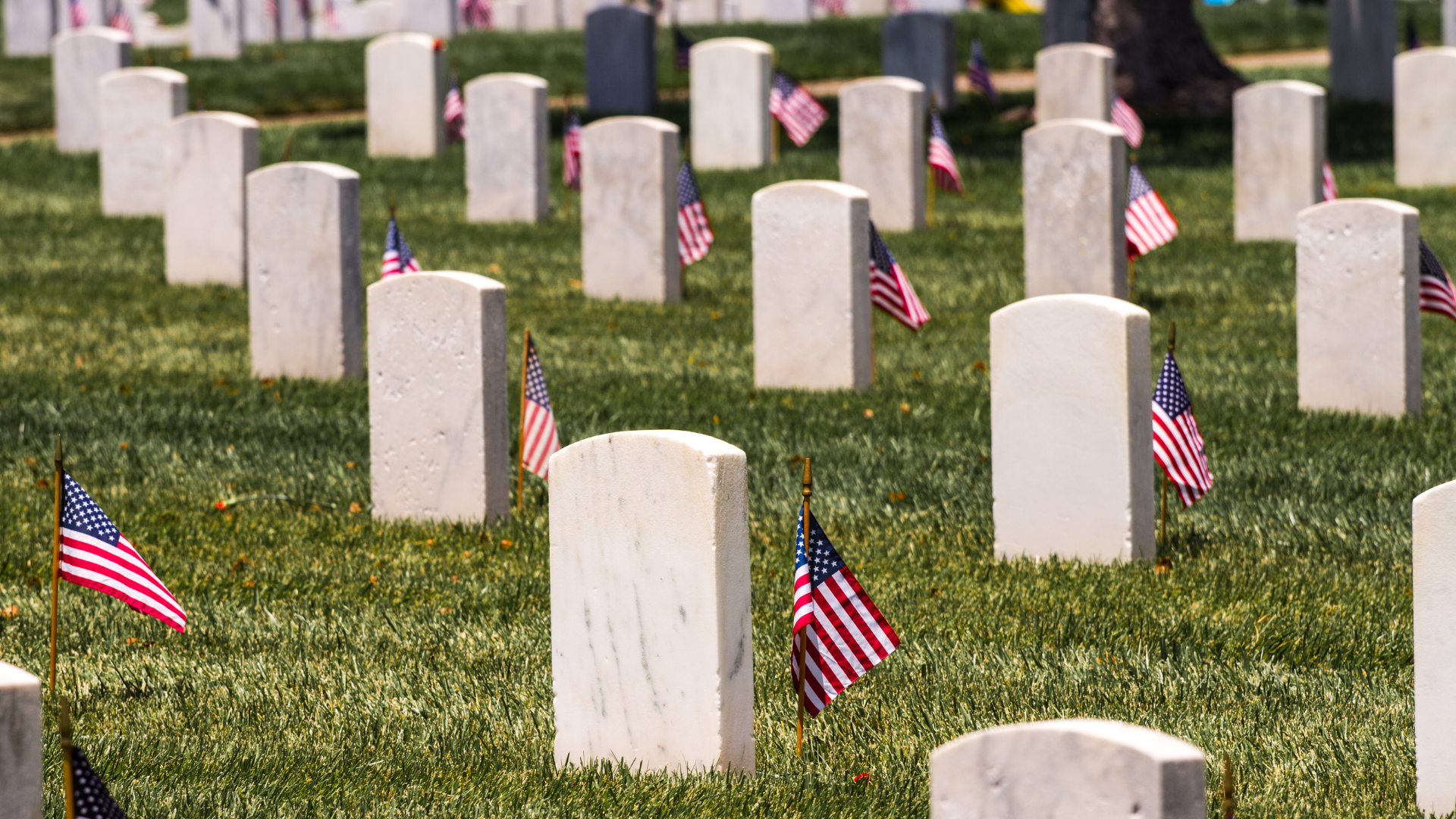 Rows of cemetery headstones with American flags placed beside graves.